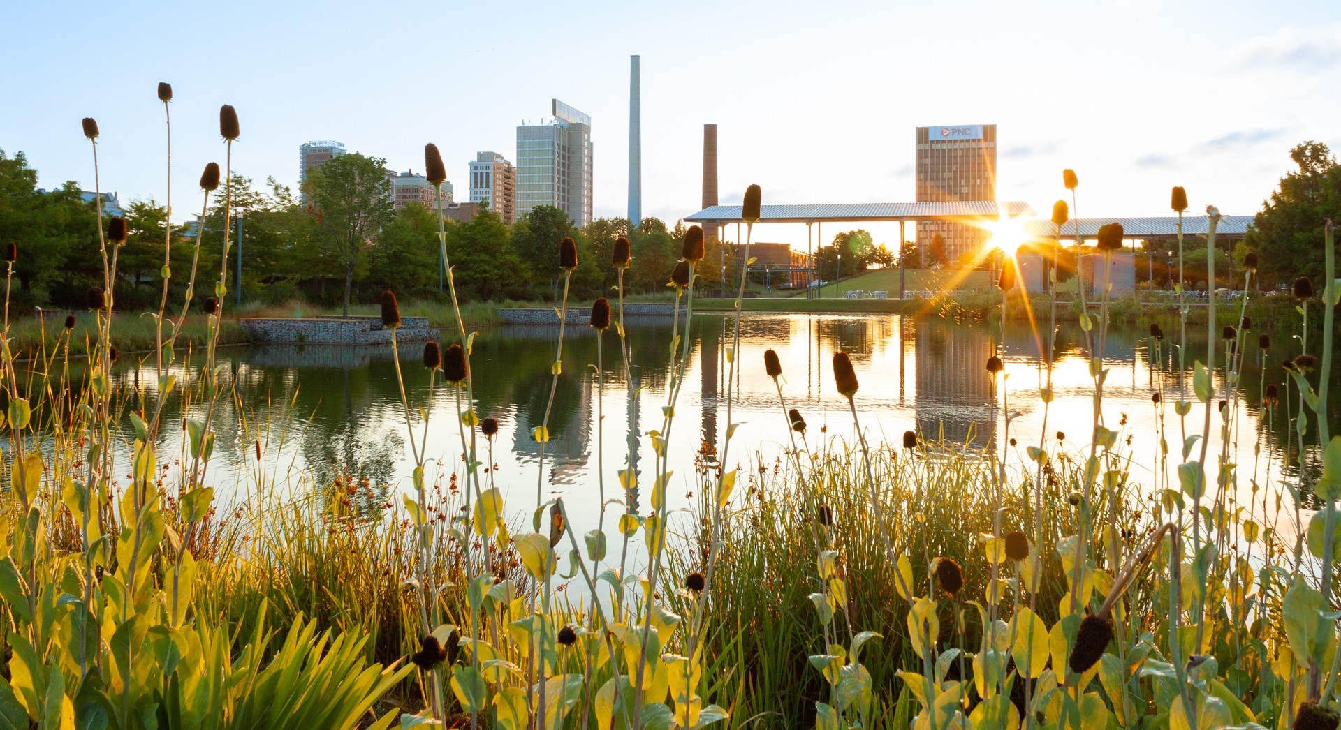 Sunrise at Railroad Park, Birmingham AL